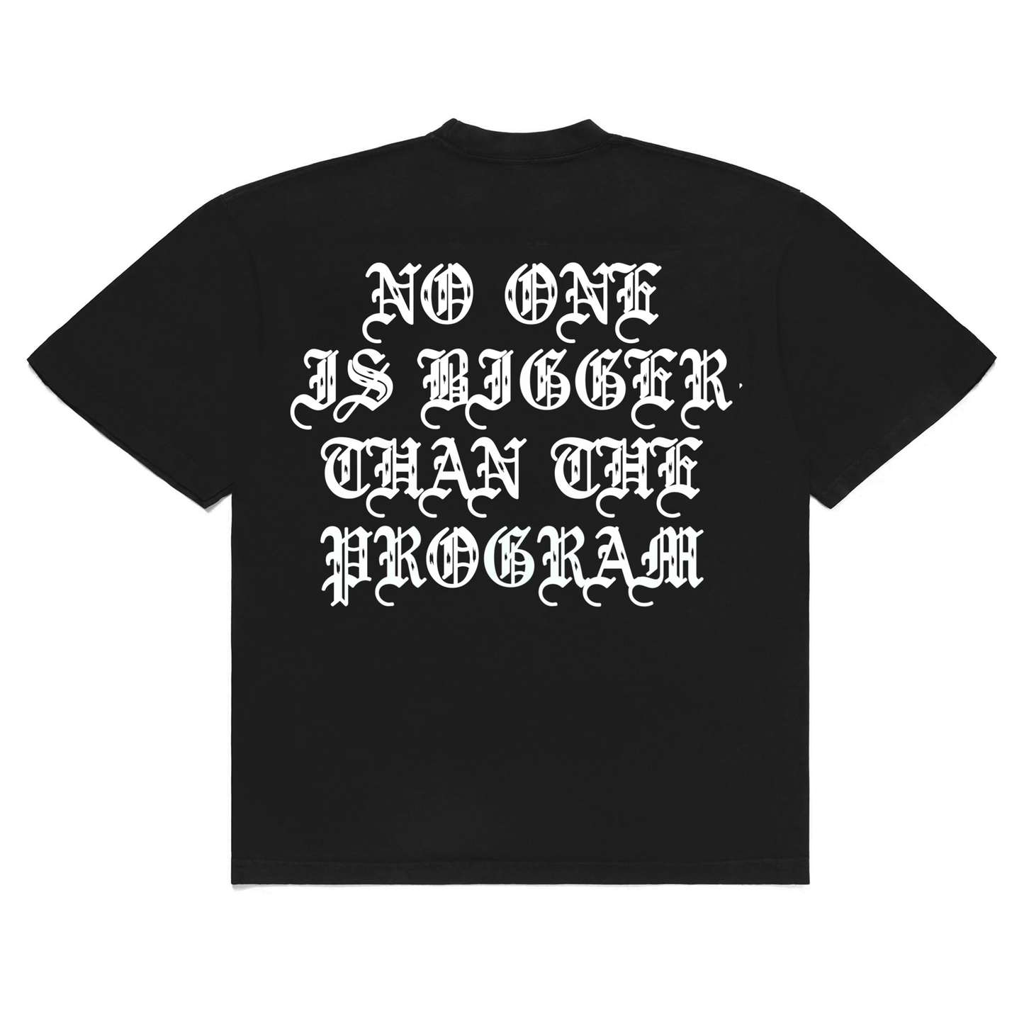 NO ONE IS BIGGER THAN THE PROGRAM T-SHIRT