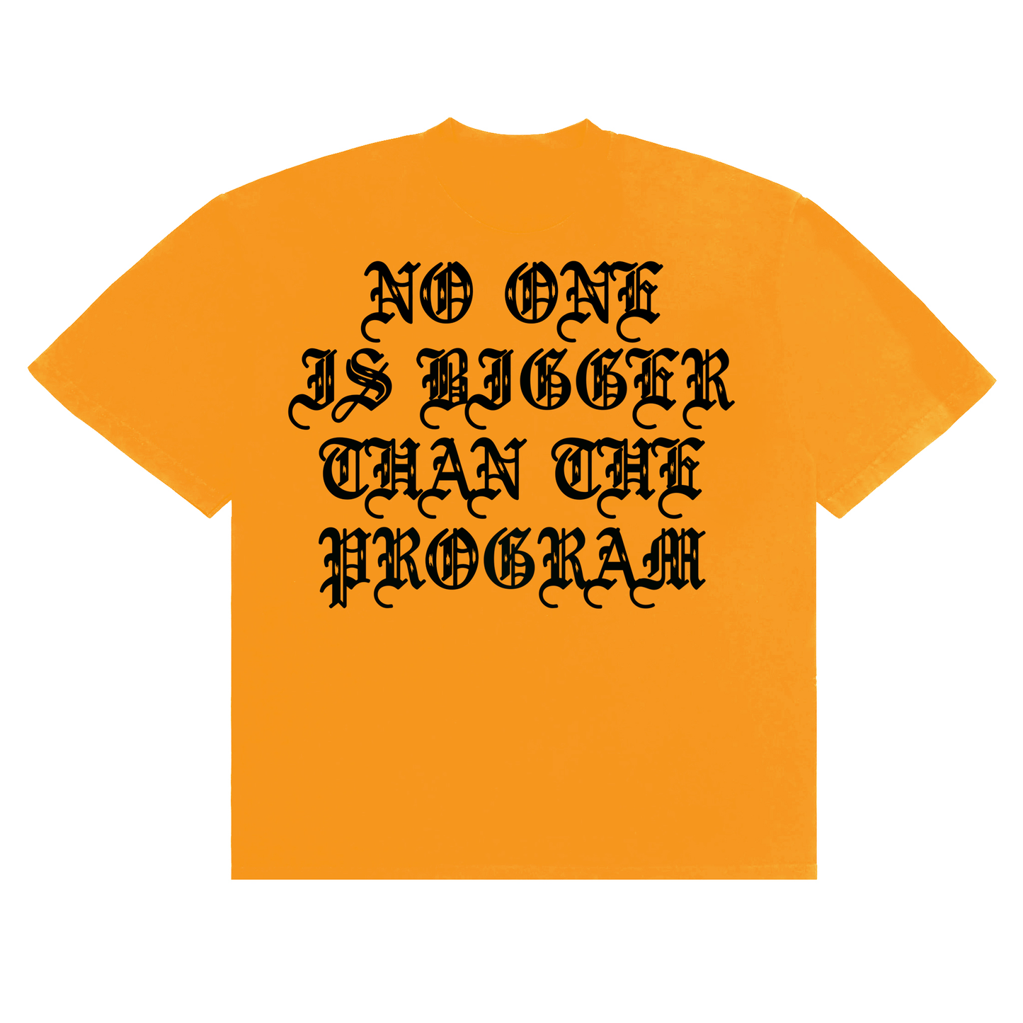 NO ONE IS BIGGER THAN THE PROGRAM T-SHIRT