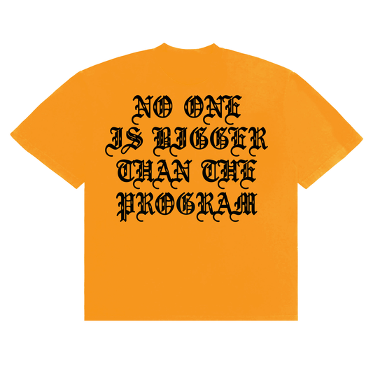 NO ONE IS BIGGER THAN THE PROGRAM T-SHIRT