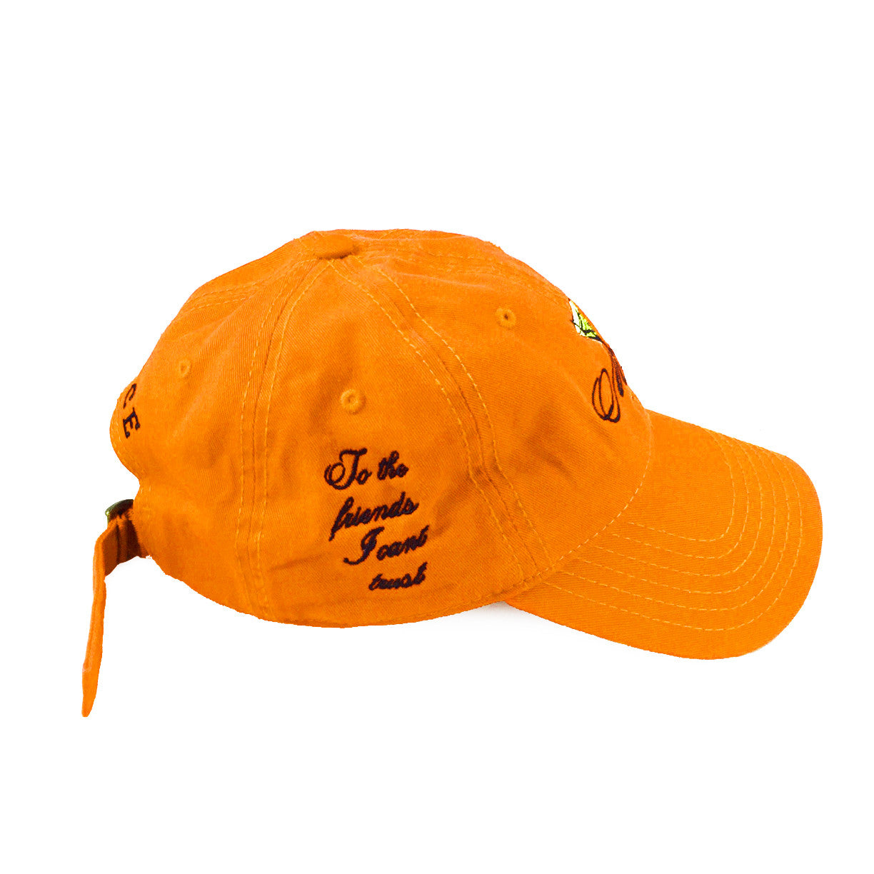 FRIENDS I CAN'T TRUST CAP by MENACE