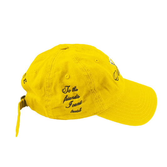 FRIENDS I CAN'T TRUST CAP by MENACE