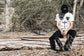 WAR HAS NO VICTORS T-SHIRT by MENACE
